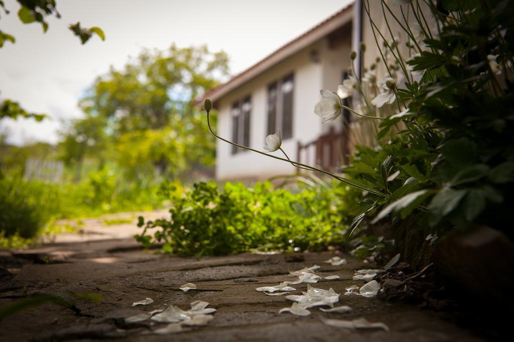 Mutafova Guest House Veliki Preszlav Kültér fotó